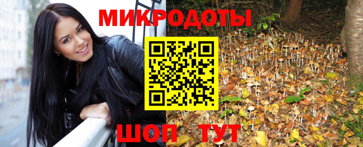 Галлюциногенные грибы мицелий Людиново