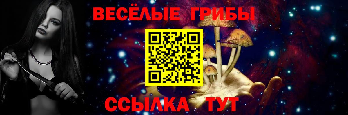 Галлюциногенные грибы Magic Shrooms  Галлюциногенные грибы Psilocybine cubensis  Людиново  Вход с VPN 